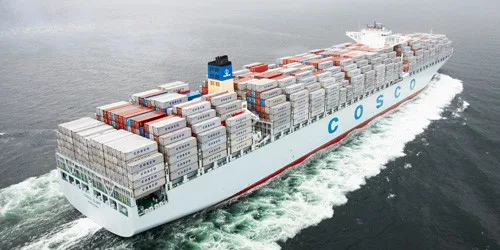 Ocean Alliance вызвал вопросы